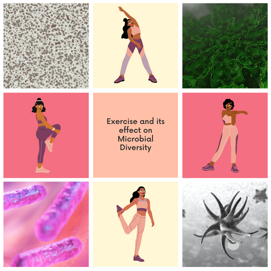 Exercise and Gut Microbiota: A Game-Changer for Health and Wellness